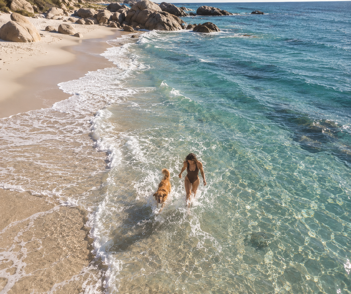 PLACES WE LOVE